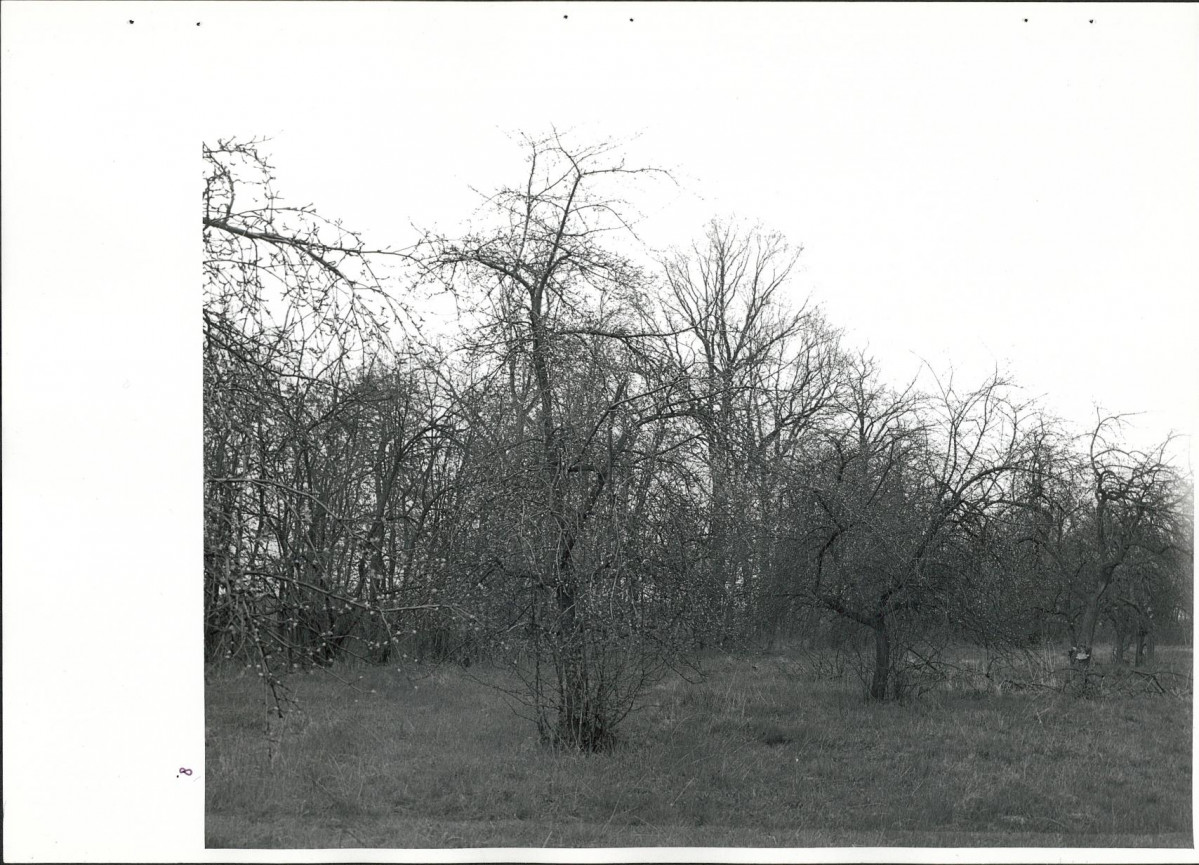 Ewidencja parkowa, skan nr 35