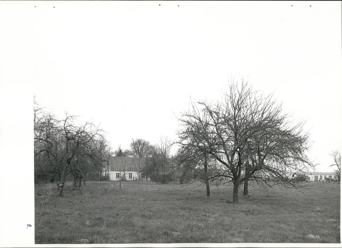 Ewidencja parkowa, skan nr 36