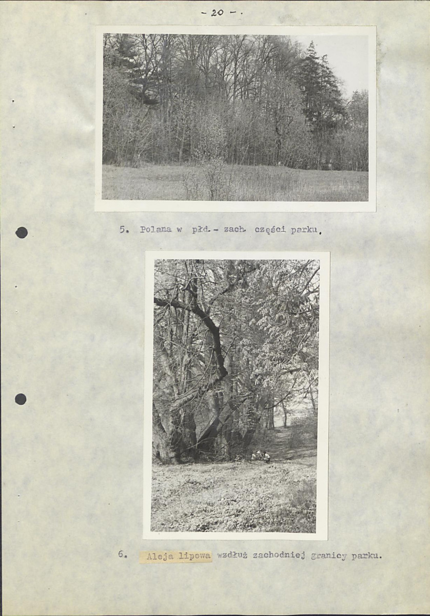 Ewidencja parkowa, skan nr 29
