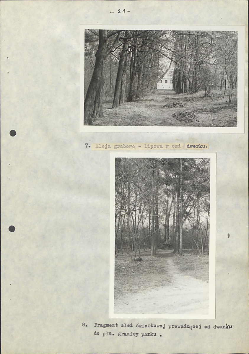 Ewidencja parkowa, skan nr 30