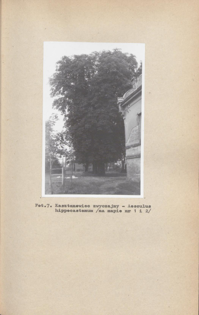 Ewidencja parkowa, skan nr 34