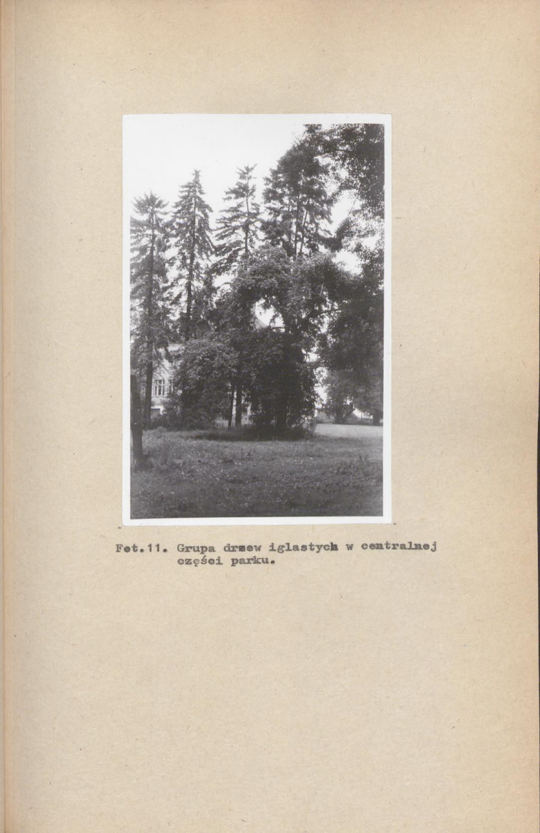 Ewidencja parkowa, skan nr 37