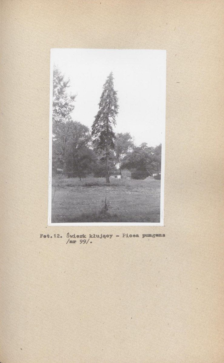 Ewidencja parkowa, skan nr 38