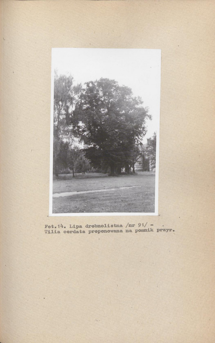 Ewidencja parkowa, skan nr 40