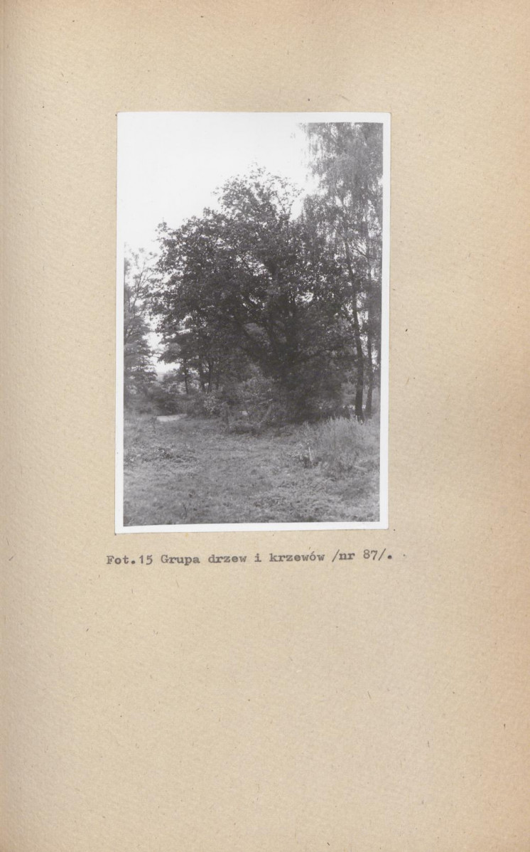 Ewidencja parkowa, skan nr 41