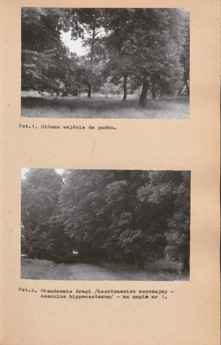 EP - Ewidencja parkowa, skan nr 32