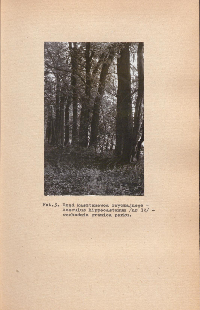 EP - Ewidencja parkowa, skan nr 34