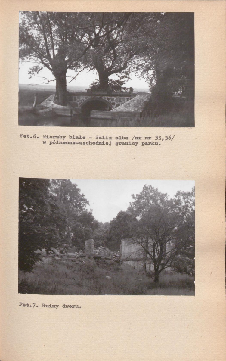 EP - Ewidencja parkowa, skan nr 35