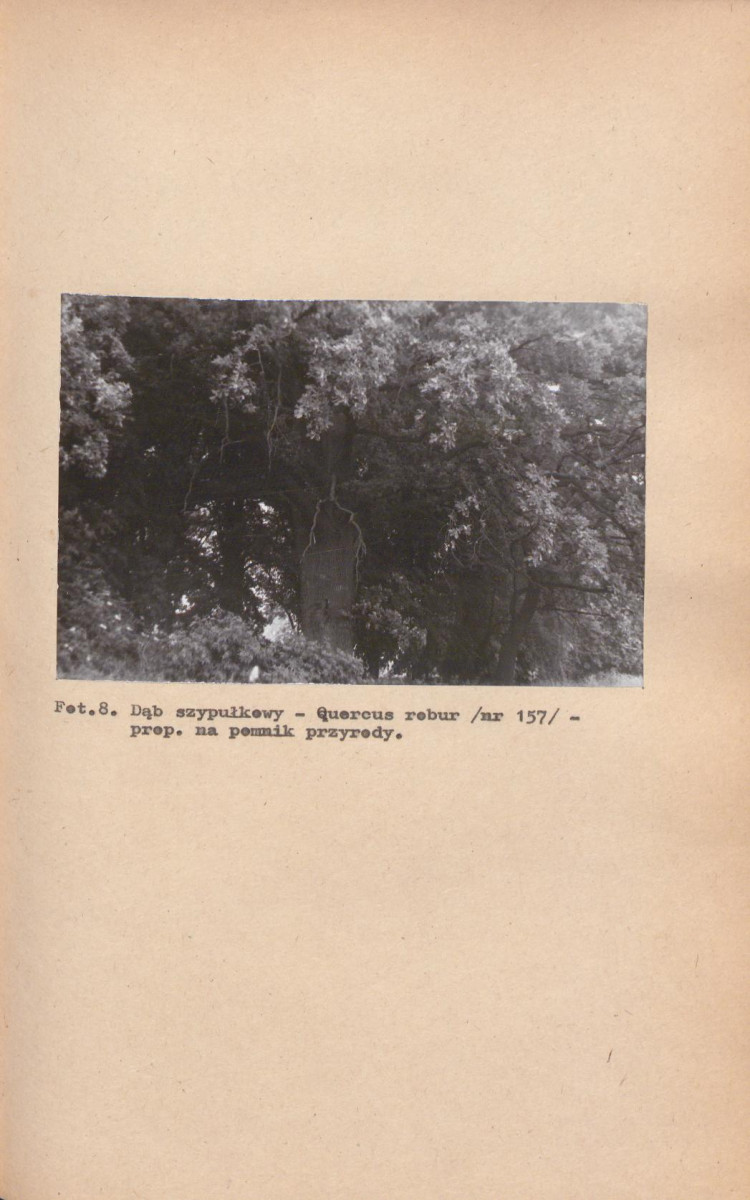 EP - Ewidencja parkowa, skan nr 36