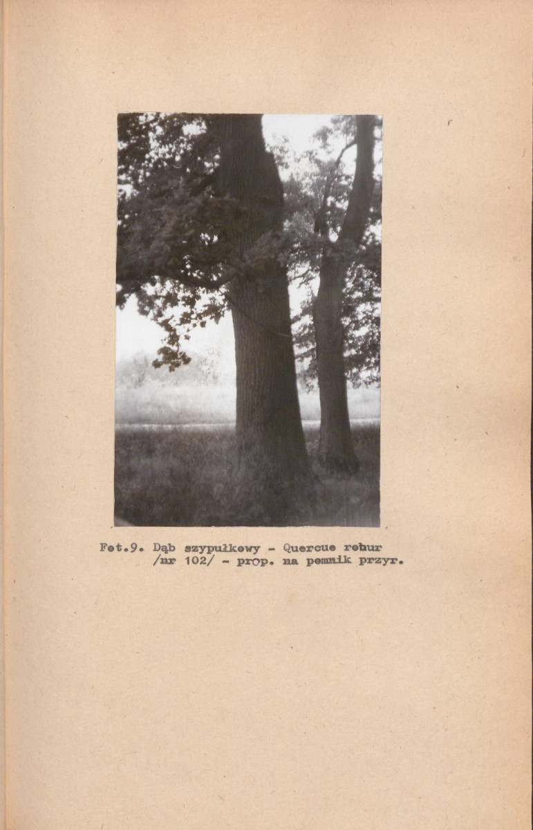 EP - Ewidencja parkowa, skan nr 37