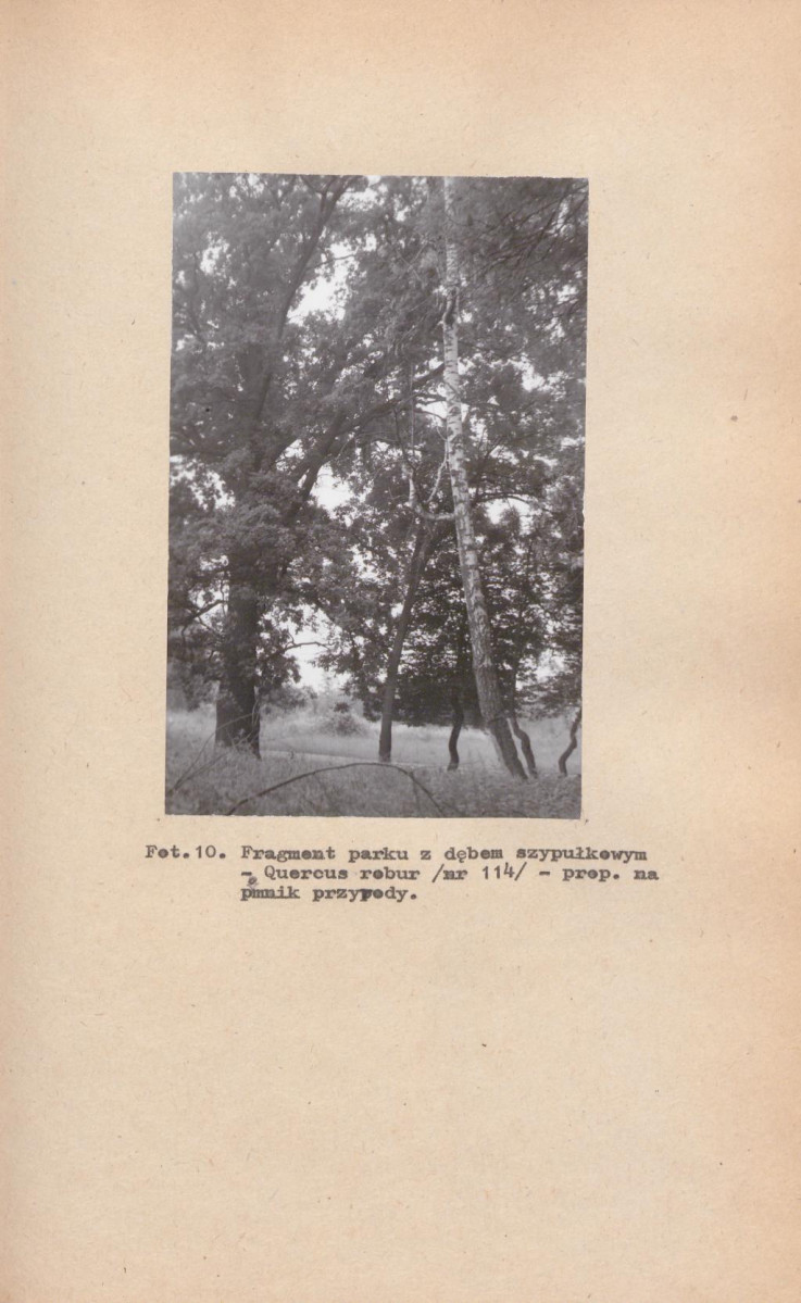 EP - Ewidencja parkowa, skan nr 38