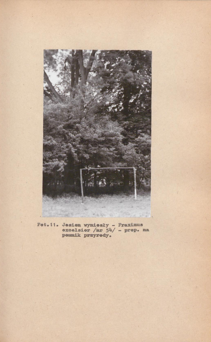 EP - Ewidencja parkowa, skan nr 39