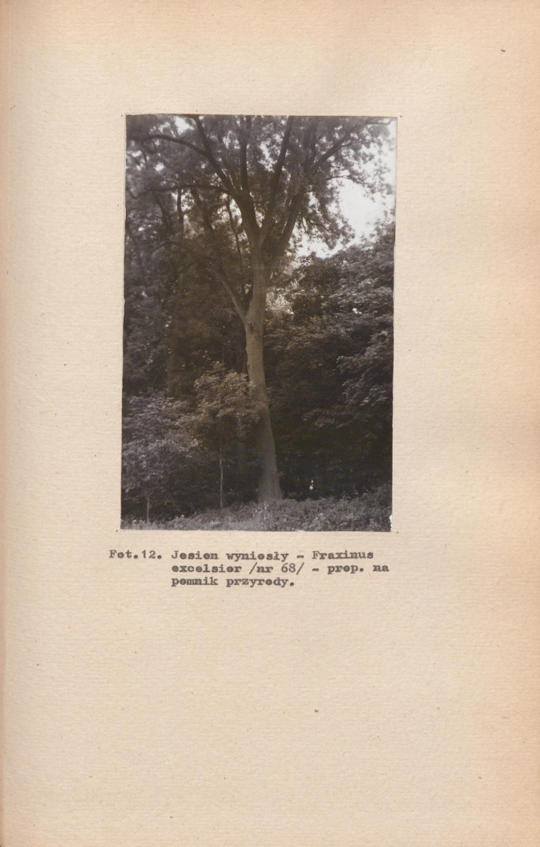 EP - Ewidencja parkowa, skan nr 40