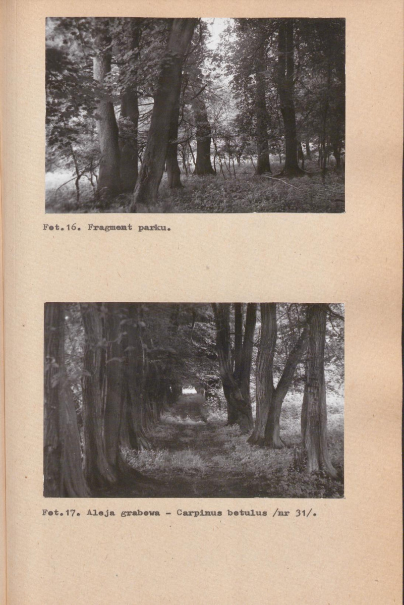 EP - Ewidencja parkowa, skan nr 44