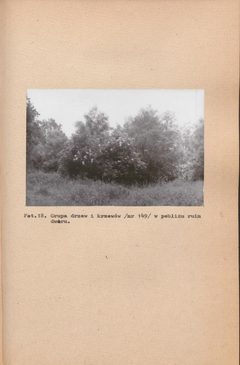 EP - Ewidencja parkowa, skan nr 45