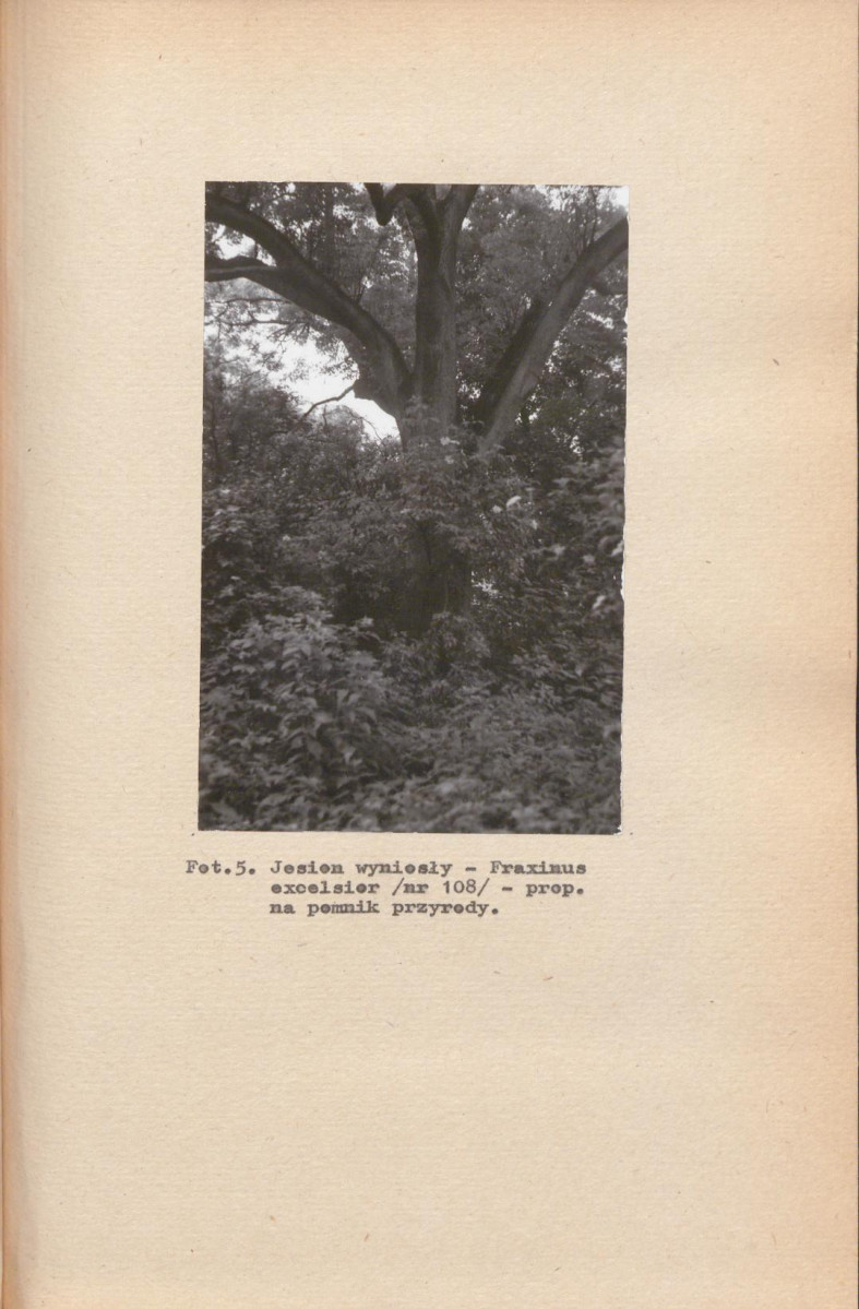 EP - Ewidencja parkowa, skan nr 41