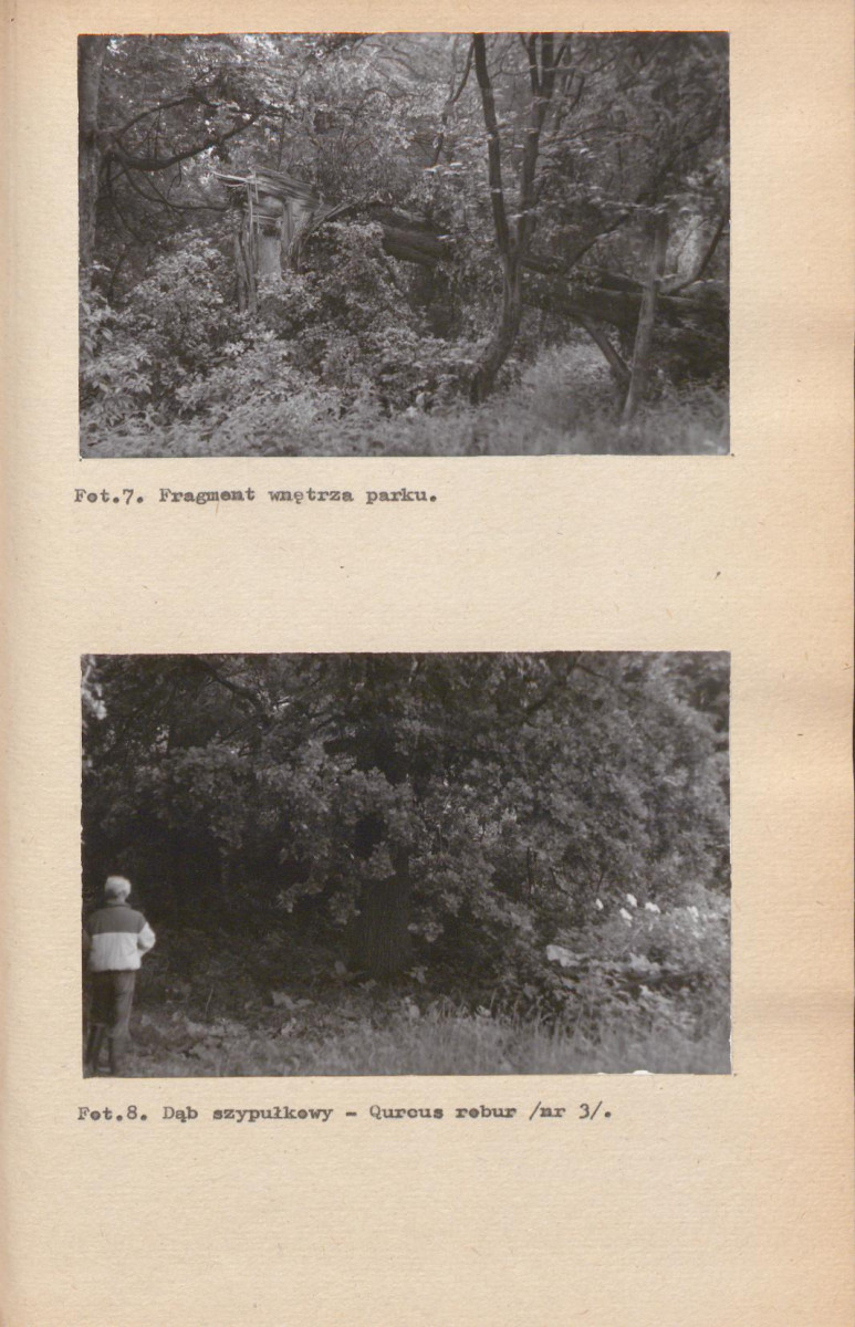 EP - Ewidencja parkowa, skan nr 43