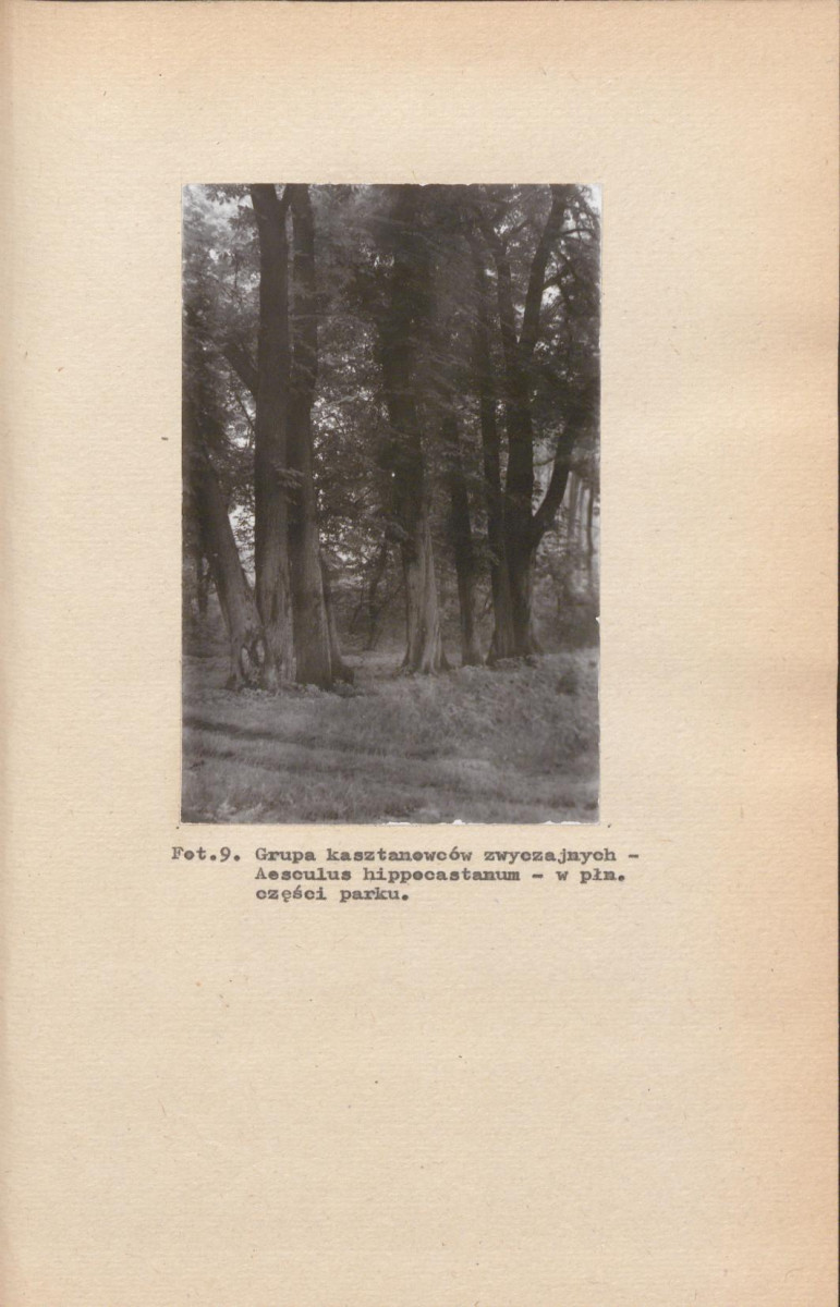 EP - Ewidencja parkowa, skan nr 44
