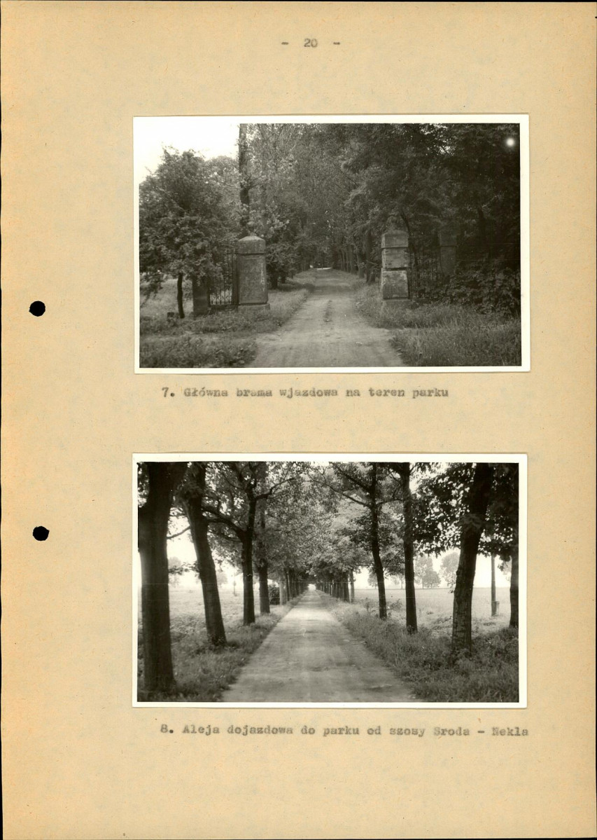 Ewidencja parkowa, skan nr 25