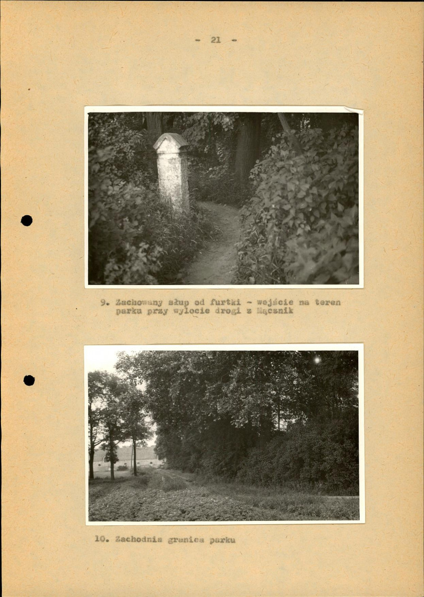 Ewidencja parkowa, skan nr 26