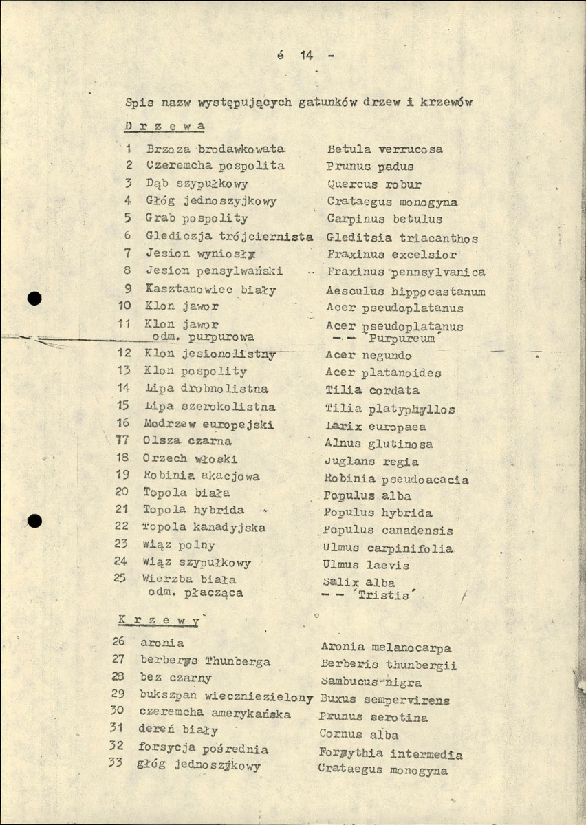 Ewidencja parkowa, skan nr 19
