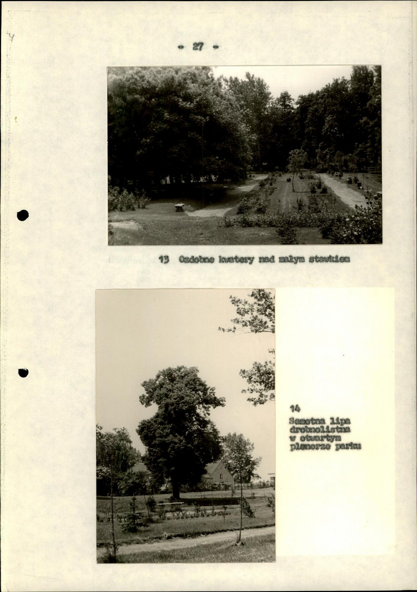 Ewidencja parkowa, skan nr 32
