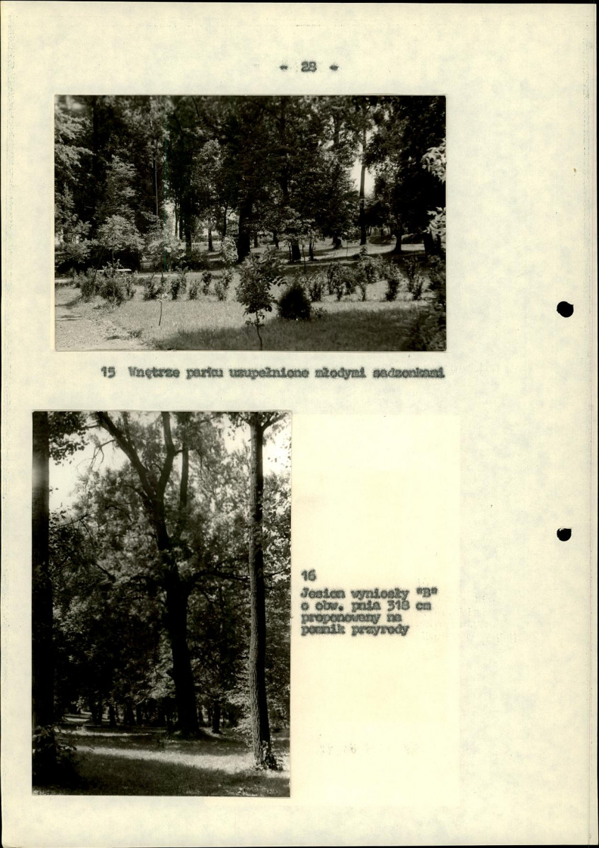 Ewidencja parkowa, skan nr 33