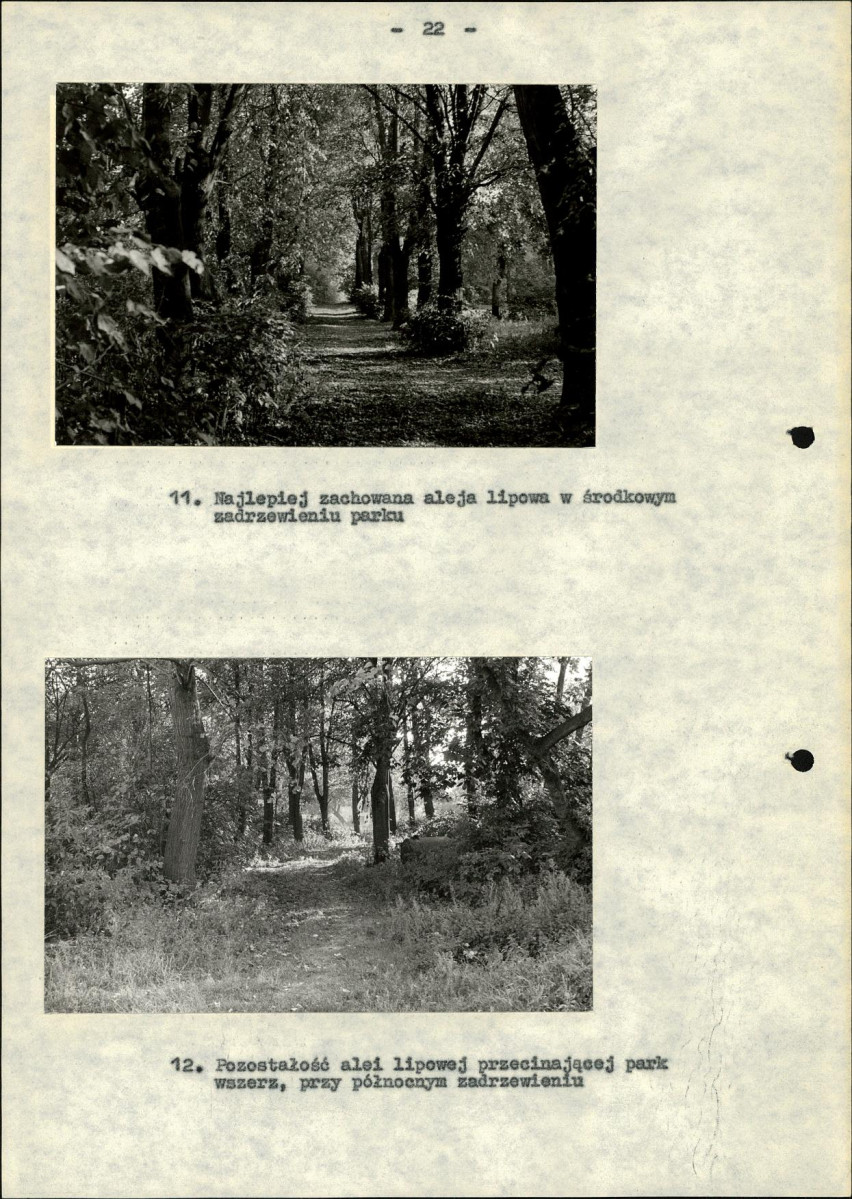 EP - Ewidencja parkowa, skan nr 26