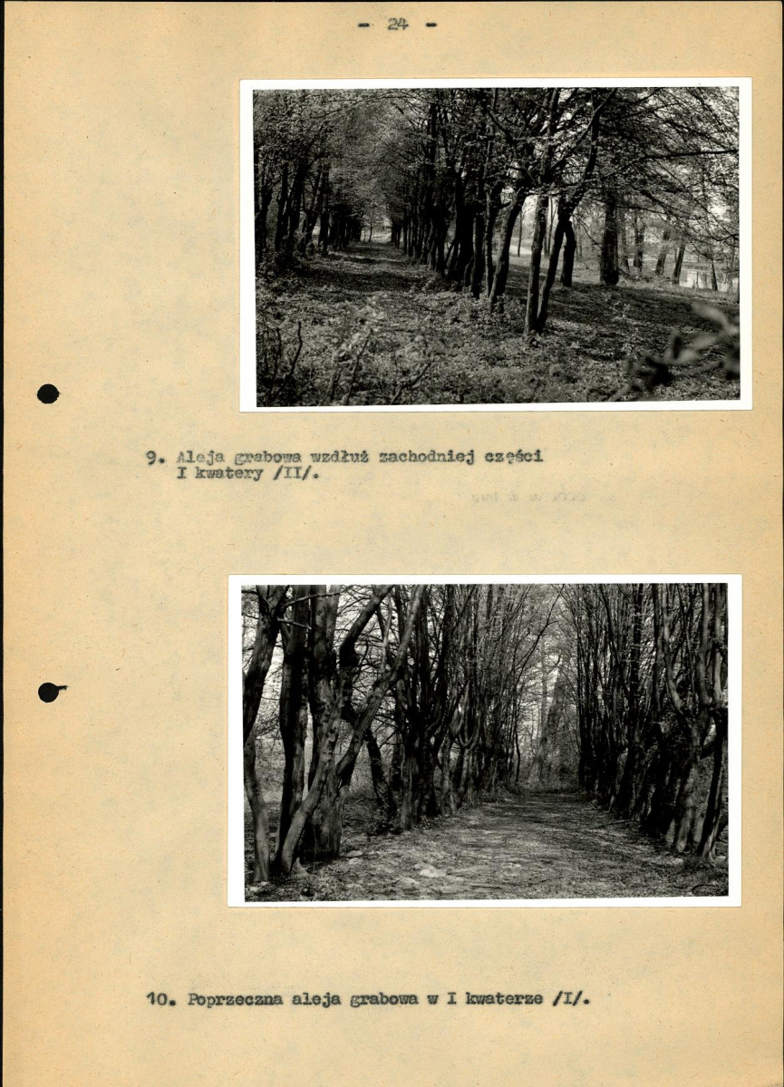 Ewidencja parkowa, skan nr 28