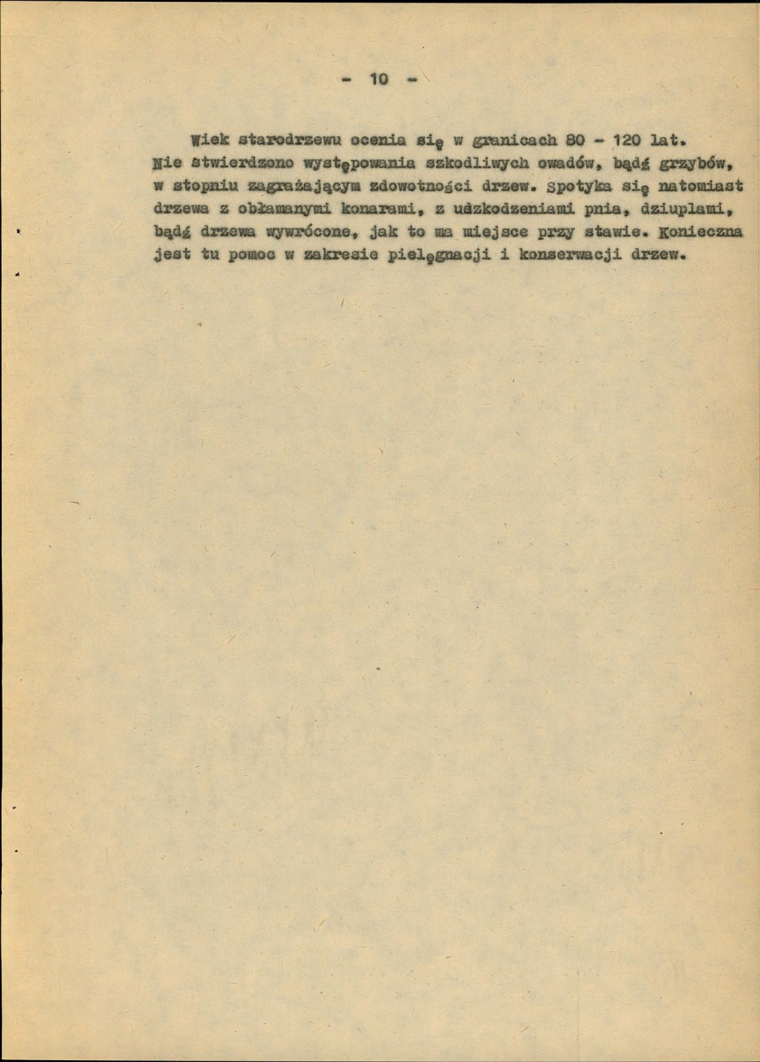Ewidencja parkowa, skan nr 15