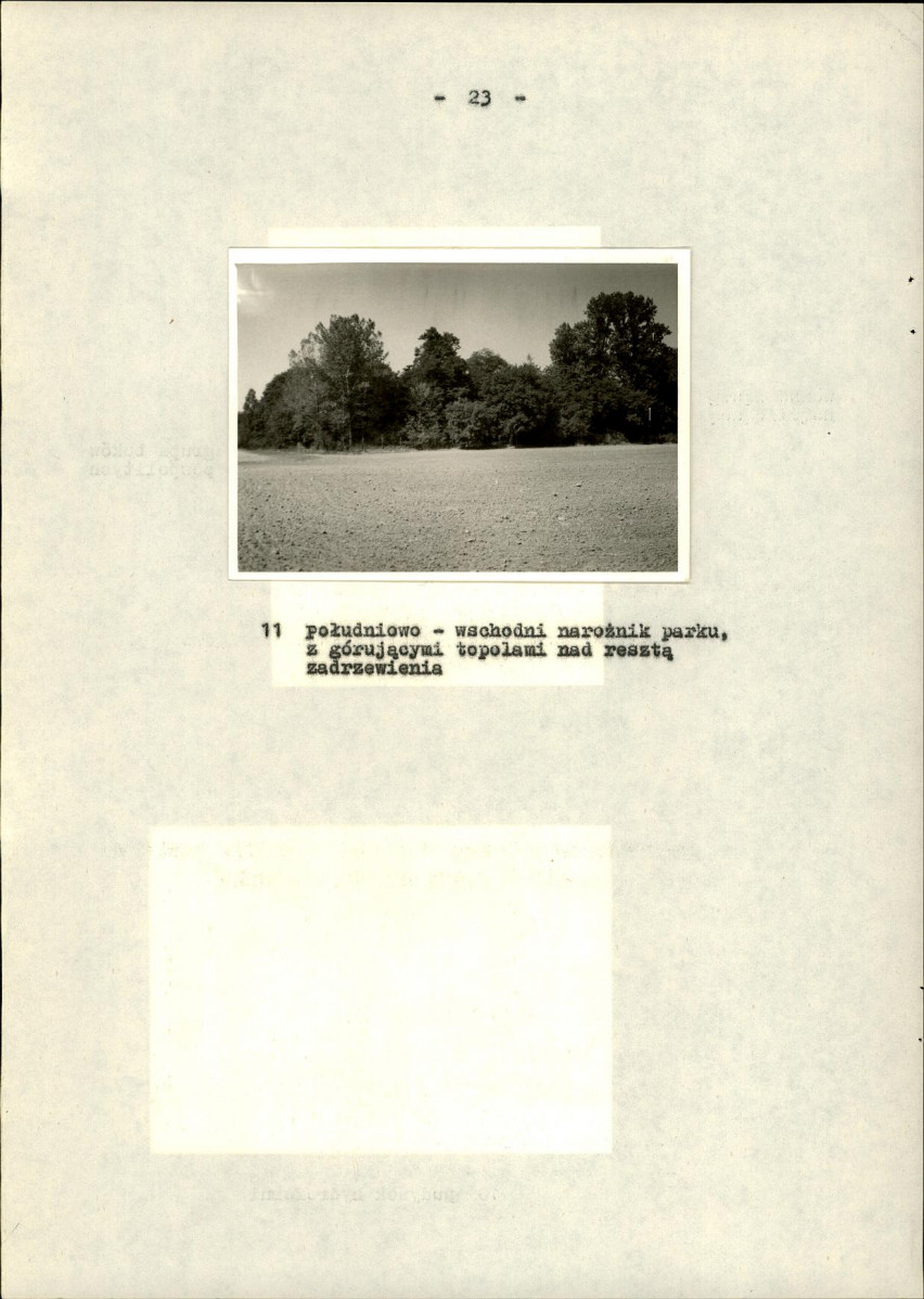 Ewidencja parkowa, skan nr 28