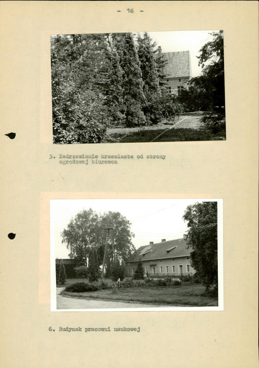 Ewidencja parkowa, skan nr 21