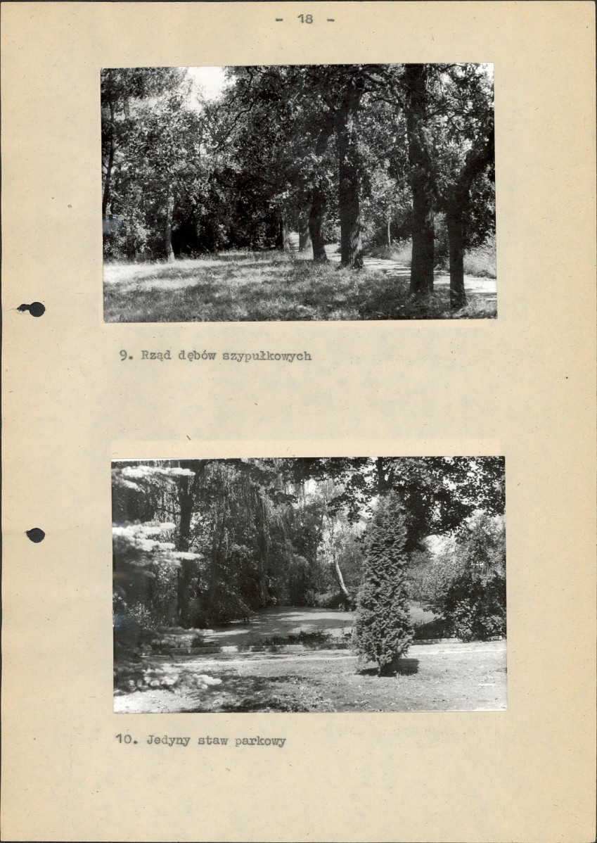 Ewidencja parkowa, skan nr 23