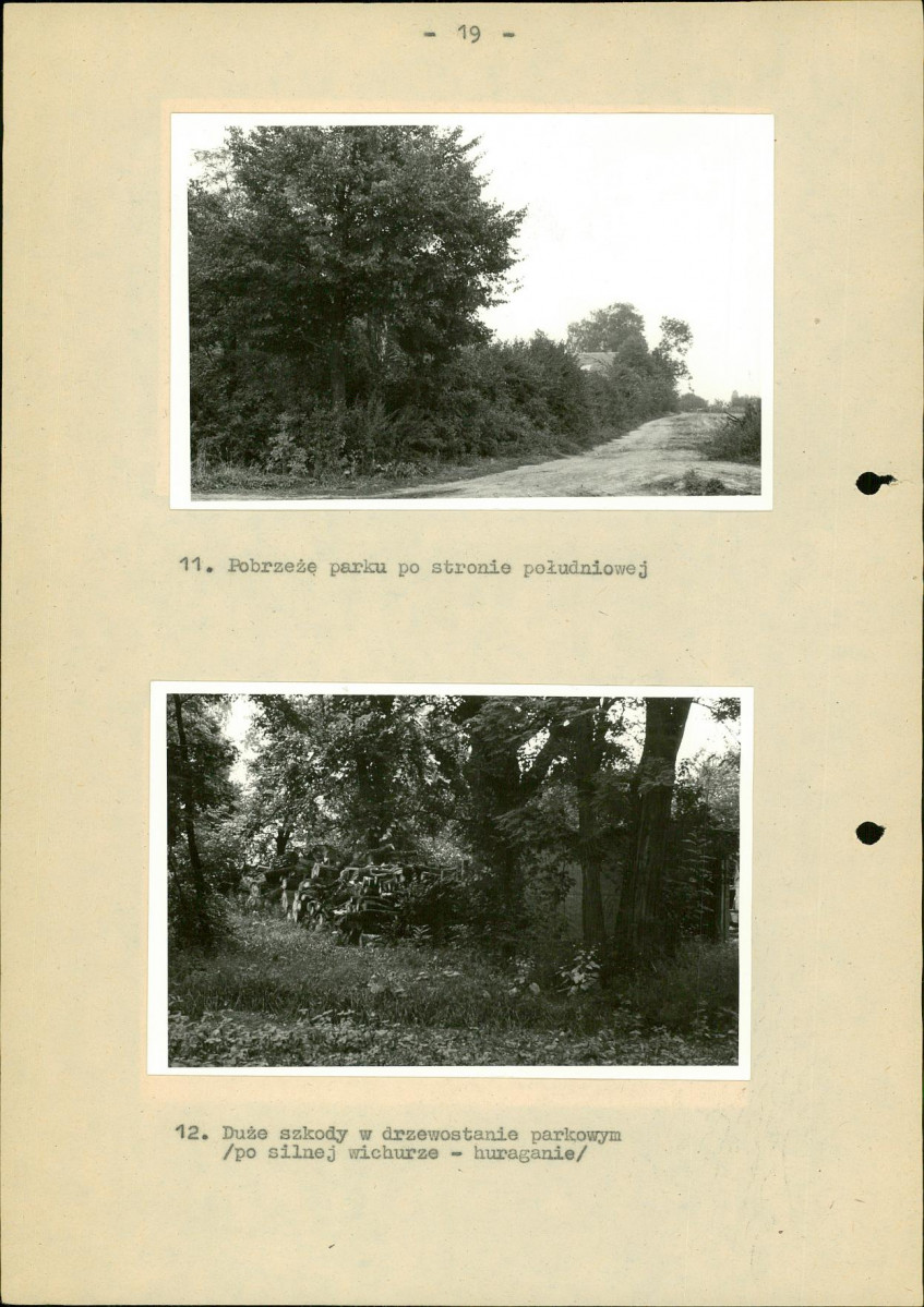 Ewidencja parkowa, skan nr 24