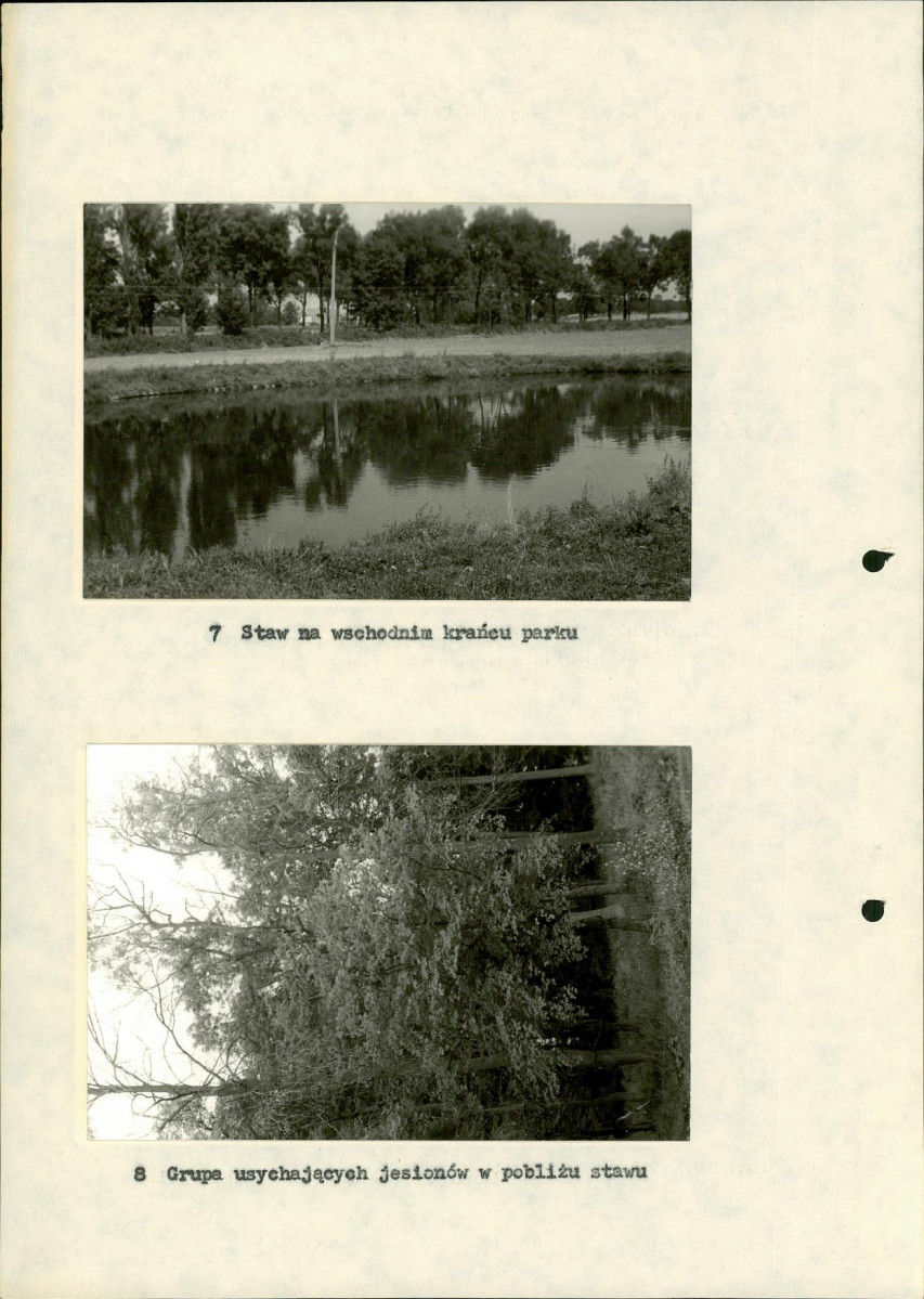 Ewidencja parkowa, skan nr 26