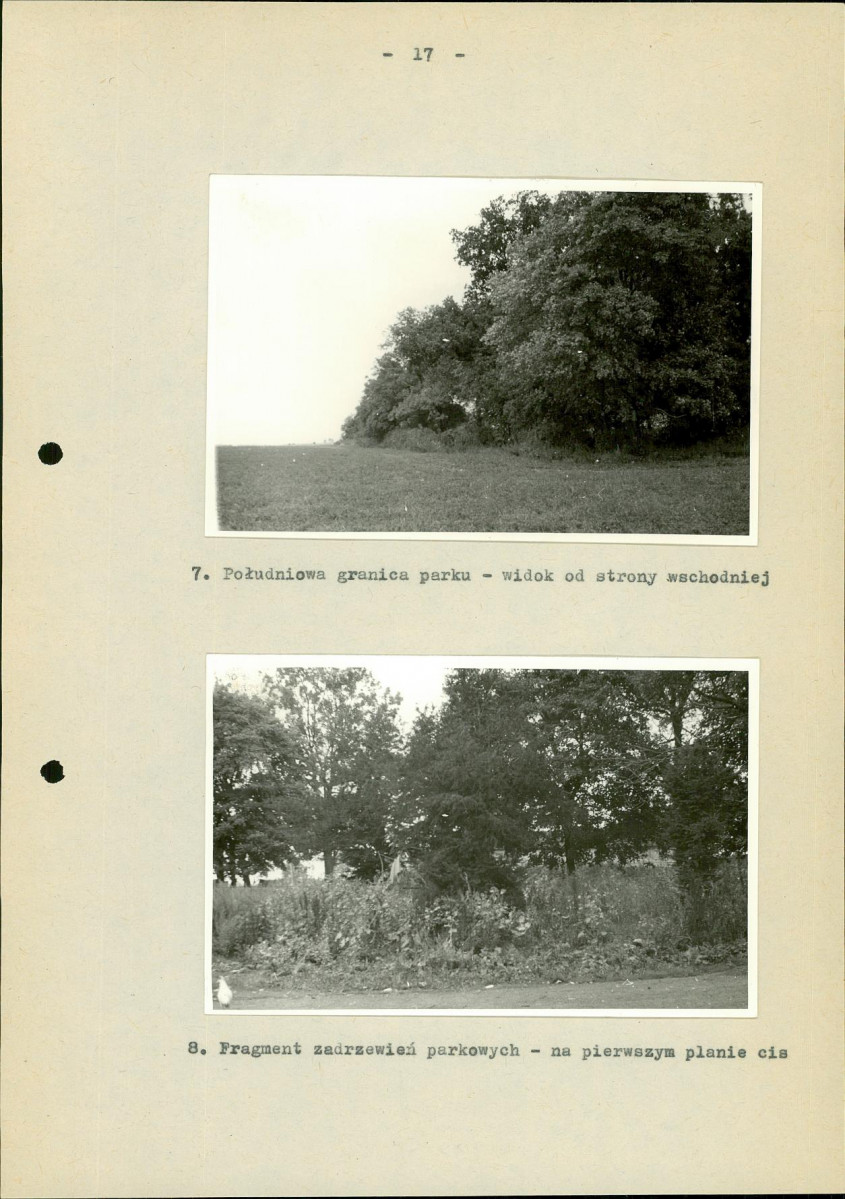 EP - Ewidencja parkowa, skan nr 22