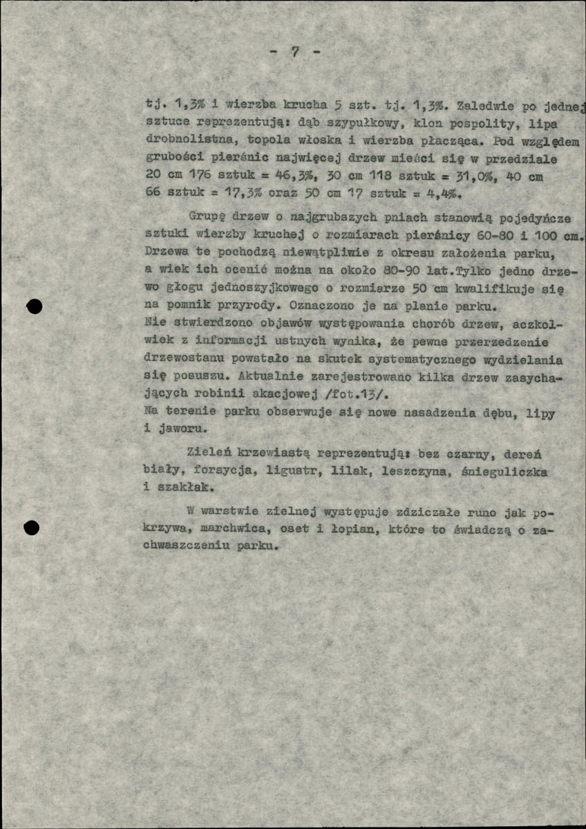Ewidencja parkowa, skan nr 13