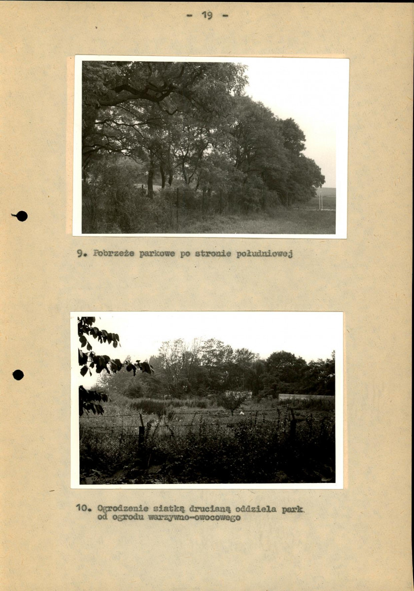 Ewidencja parkowa, skan nr 24