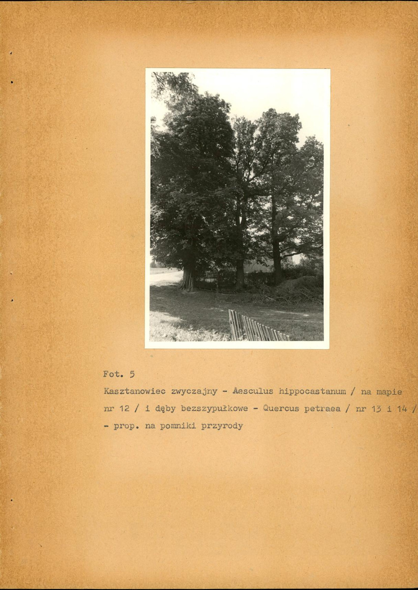 EP - Ewidencja parkowa, skan nr 30