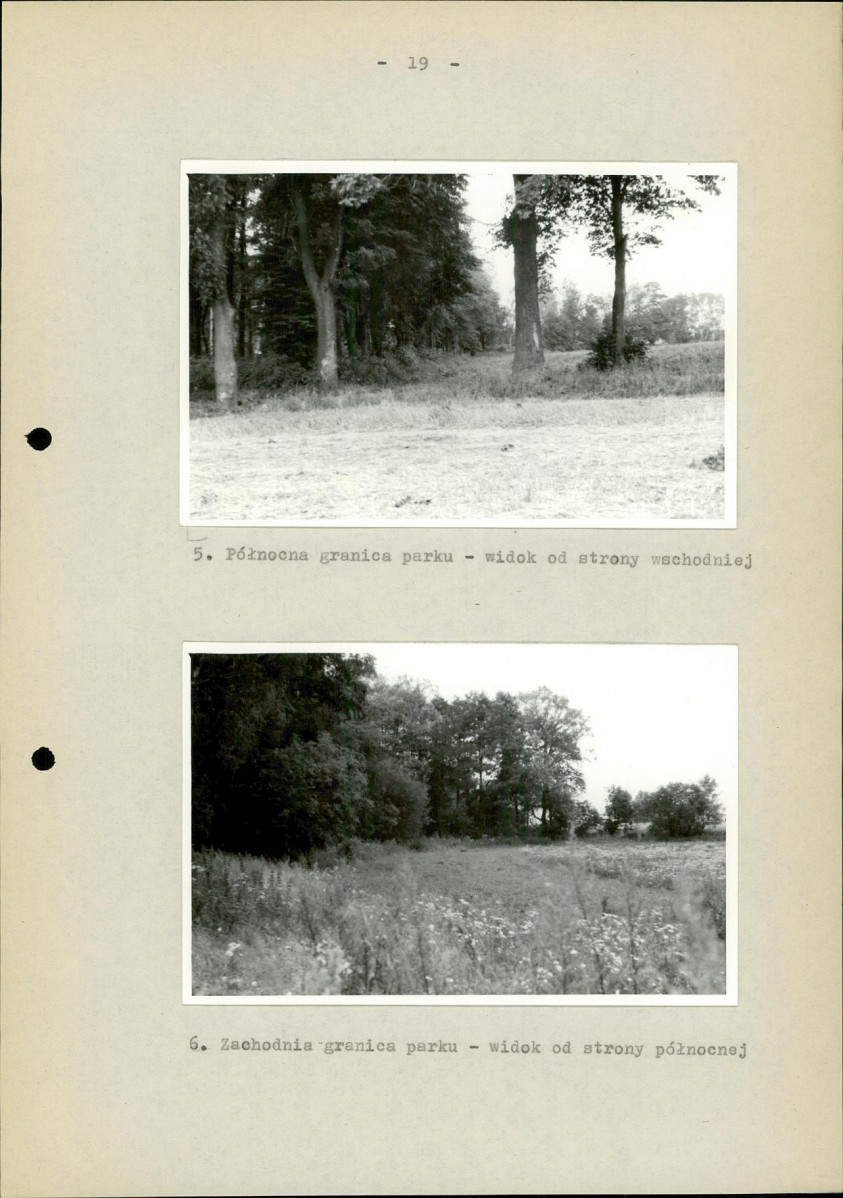 Ewidencja parkowa, skan nr 26