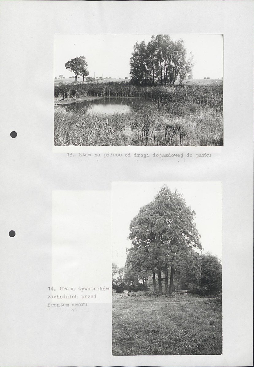 EP - Ewidencja parkowa, skan nr 29