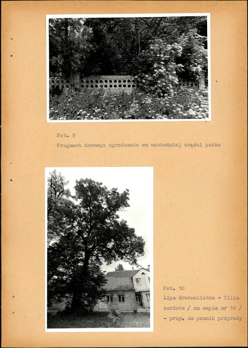 EP - Ewidencja parkowa, skan nr 51