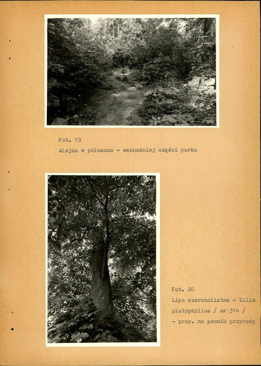 EP - Ewidencja parkowa, skan nr 56