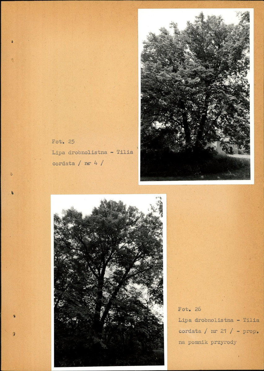 EP - Ewidencja parkowa, skan nr 59