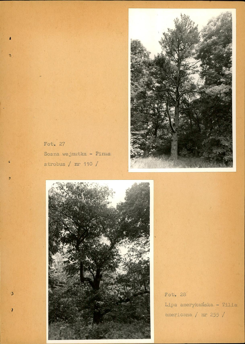 EP - Ewidencja parkowa, skan nr 60