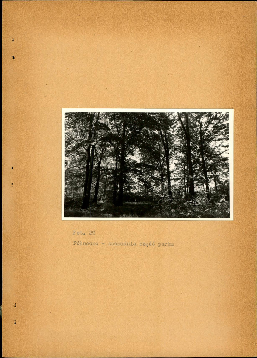 EP - Ewidencja parkowa, skan nr 61