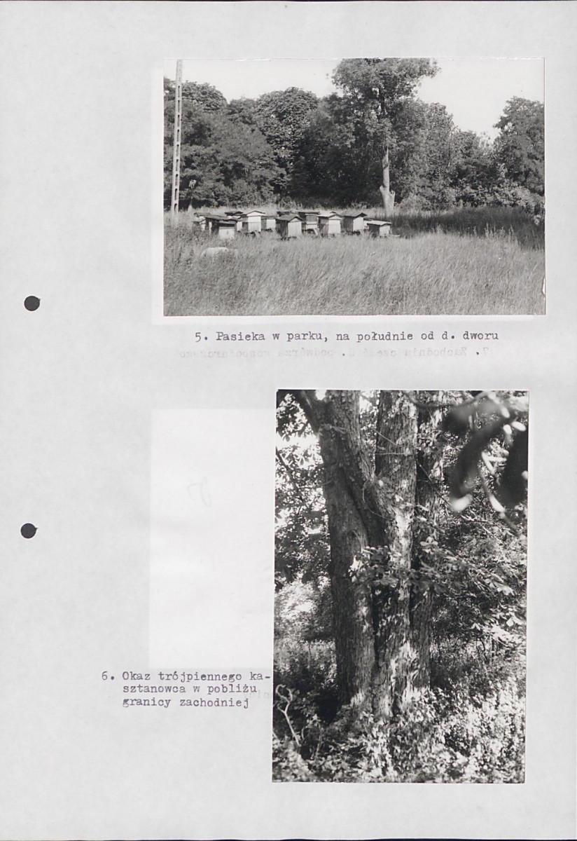 EP - Ewidencja parkowa, skan nr 26