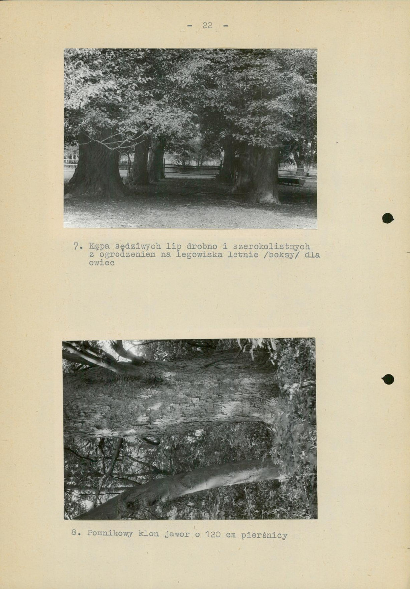 Ewidencja parkowa, skan nr 27