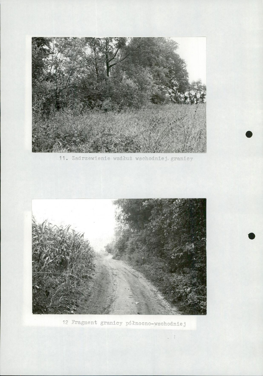 EP - Ewidencja parkowa, skan nr 29