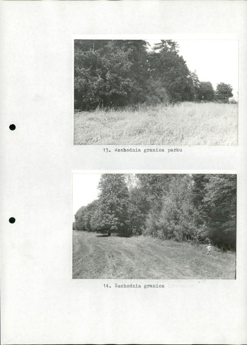 EP - Ewidencja parkowa, skan nr 29